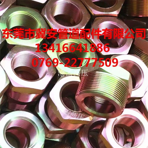 消防气体管件在广东汕头与惠州的应用 碳钢内外丝补芯管件解析